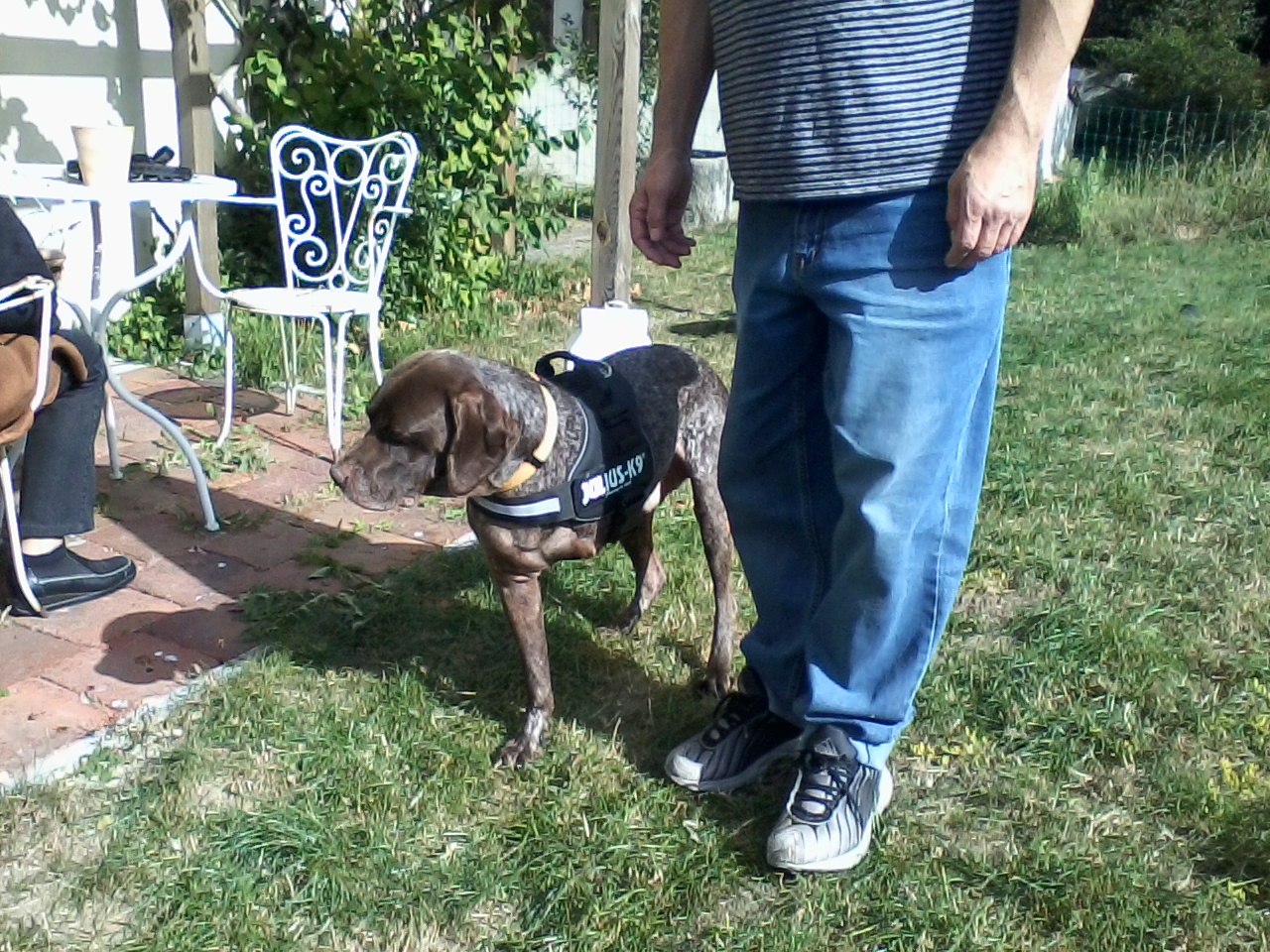 Bumi - der 3-Beiner.jpg (1280 x 960)